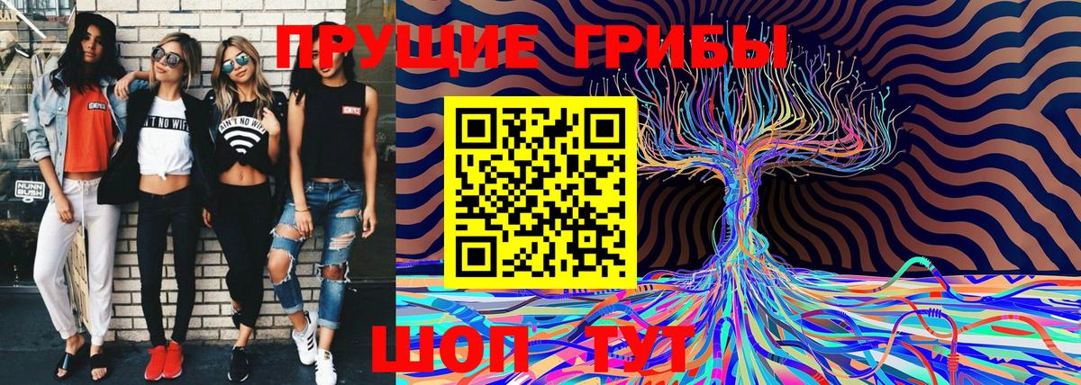 Псилоцибиновые грибы MAGIC MUSHROOMS  Псилоцибиновые грибы мицелий  Вход с VPN  Бирск 
